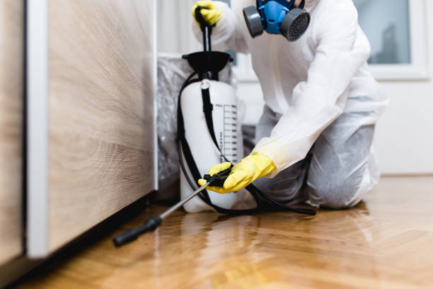Best Local Pest Control Services  in Notasulga, AL