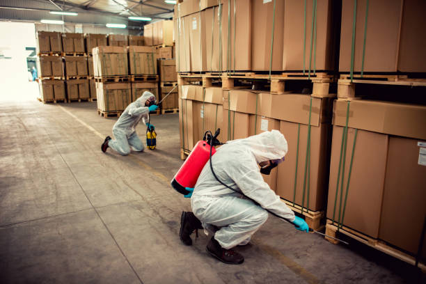 Best Mosquito Control Services  in Notasulga, AL