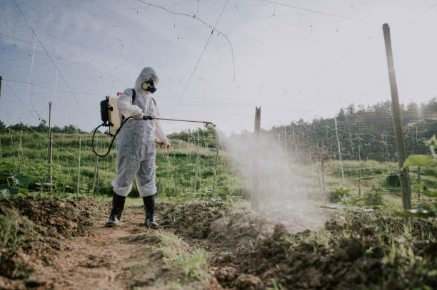 Best Best Pest Control Companies  in Notasulga, AL