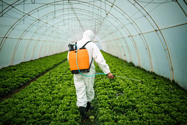 Best Commercial Pest Control Services  in Notasulga, AL
