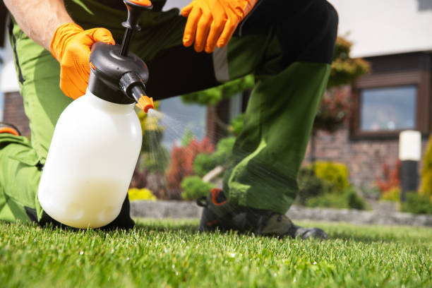 Flea Control Services in Notasulga, AL