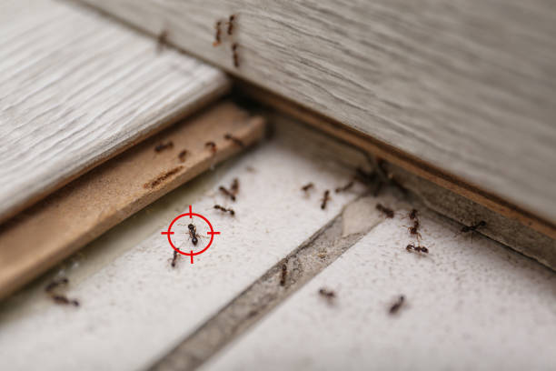 Best Exterminator Services  in Notasulga, AL