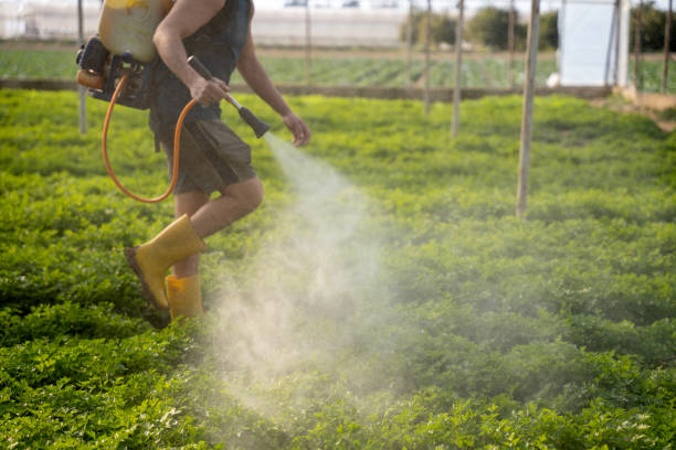 Wasp Removal Services in Notasulga, AL