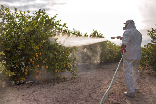 Best Flea Control Services  in Notasulga, AL
