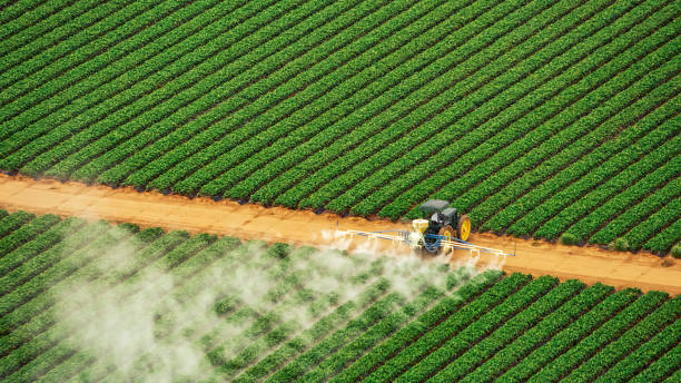 Best Cockroach Control Services  in Notasulga, AL