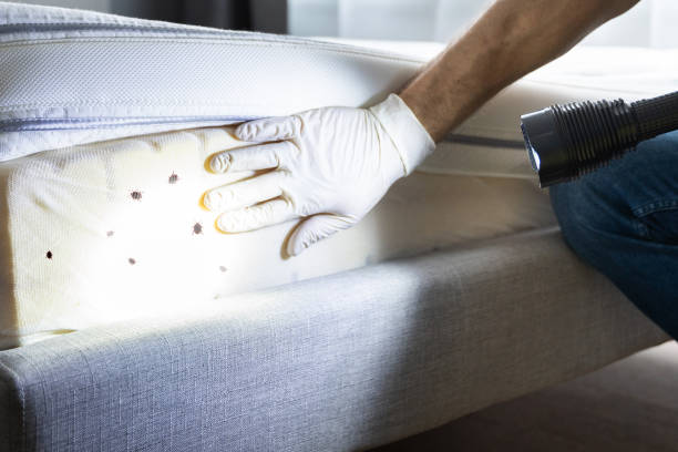 Best Best Pest Control Companies  in Notasulga, AL