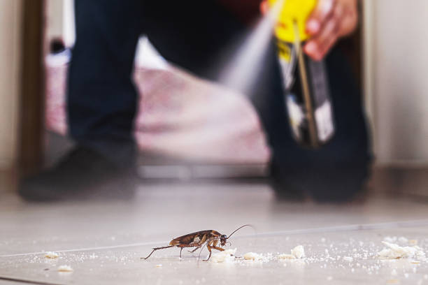 Best Emergency Pest Control  in Notasulga, AL