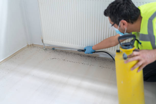 Best Affordable Pest Control Services  in Notasulga, AL