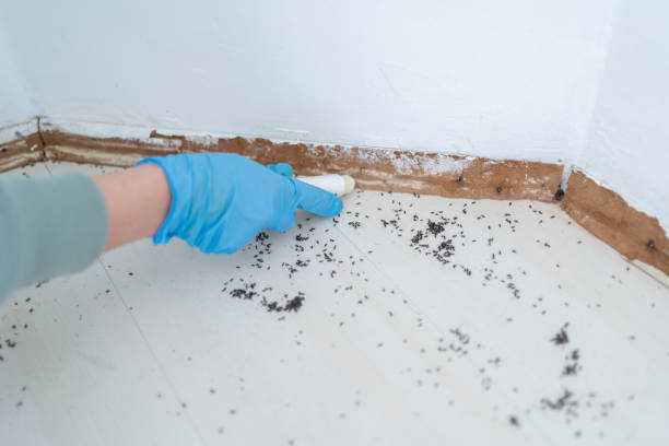 Best Pest Control for Businesses  in Notasulga, AL