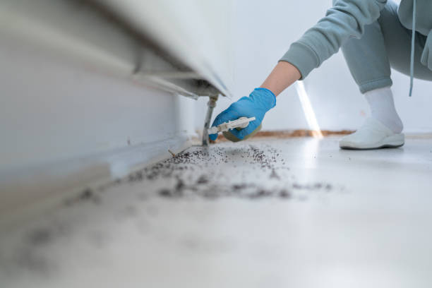 Best Wasp Removal Services  in Notasulga, AL